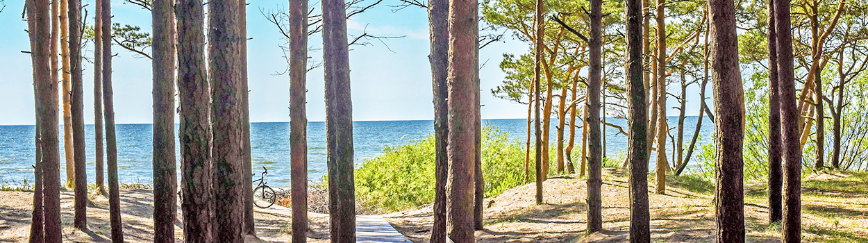 Image - Palanga, apartments 3